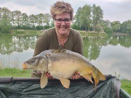 Competities HSV Alfheim